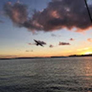 Meet your Posher, Rita